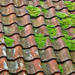 Entretien et nettoyage de toiture : les gestes essentiels pour préserver sa durabilité et éviter les problèmes d'infiltration